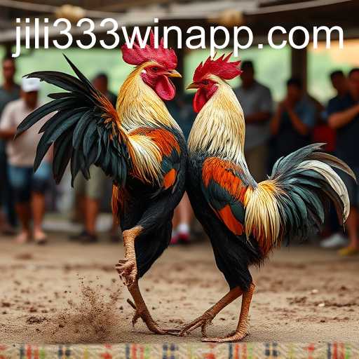 Cockfighting